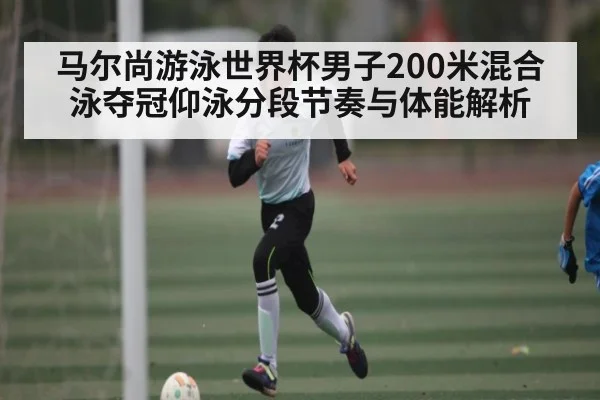 马尔尚游泳世界杯男子200米混合泳夺冠仰泳分段节奏与体能解析